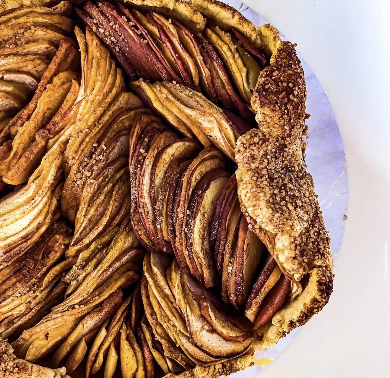Rustic apple galette with fanned red and yellow apple slices and sugared free-form crust